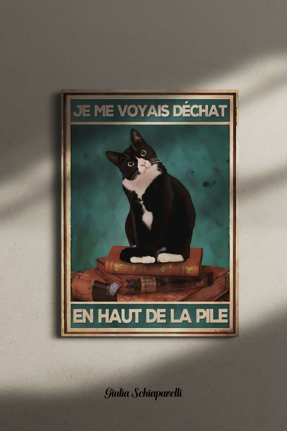 Je me voyais déchat en haut de la pile